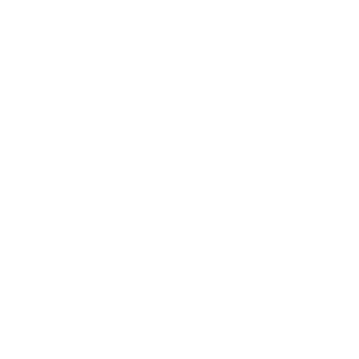 vision